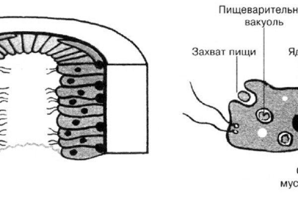 Как зайти в даркнет с тор браузера