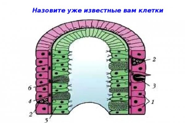 Кракен маркетплейс что