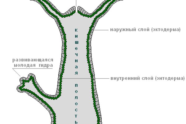 Кракен зеркало на тор