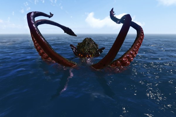 Kraken19 at