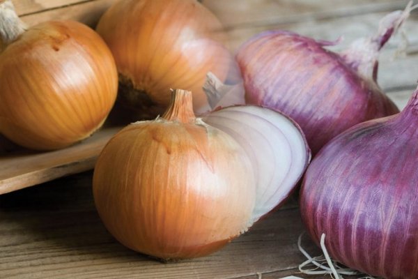 Kraken рабочая ссылка onion