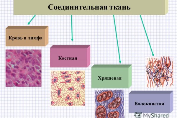 Как зайти в даркнет с тор браузера